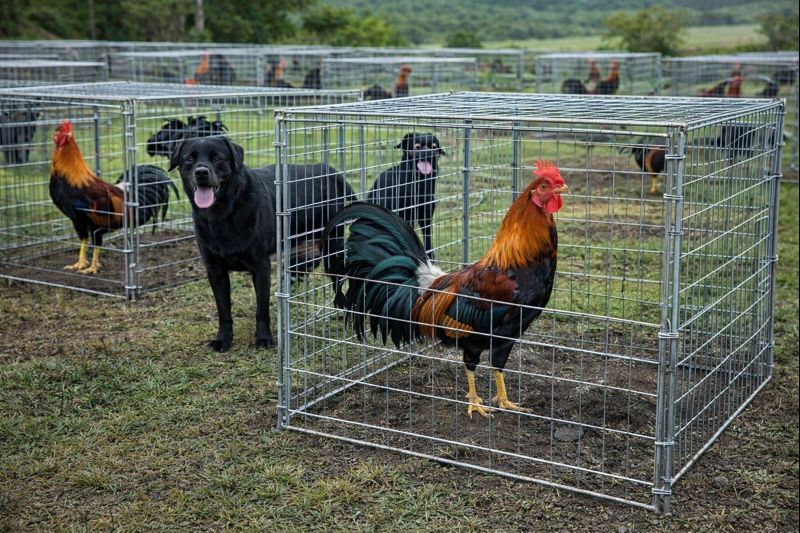 chatgpt image 9 ene 2026, 11 38 08 a.m.